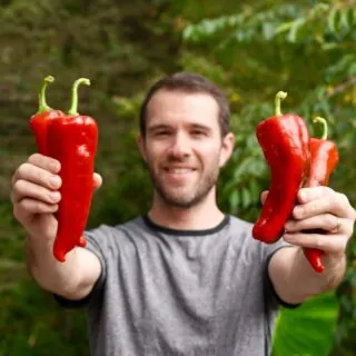 Calvin from Pepper Geek holding carmen peppers