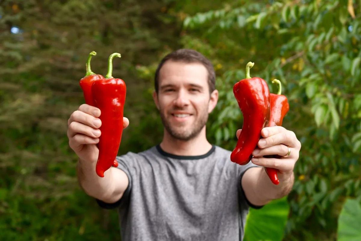 Calvin from Pepper Geek holding carmen peppers