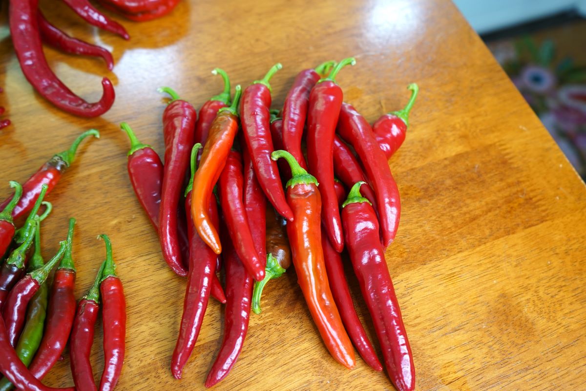 Cayenne red ember peppers