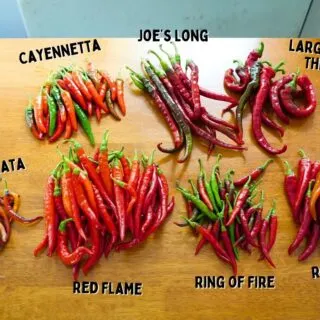 Types of cayenne peppers