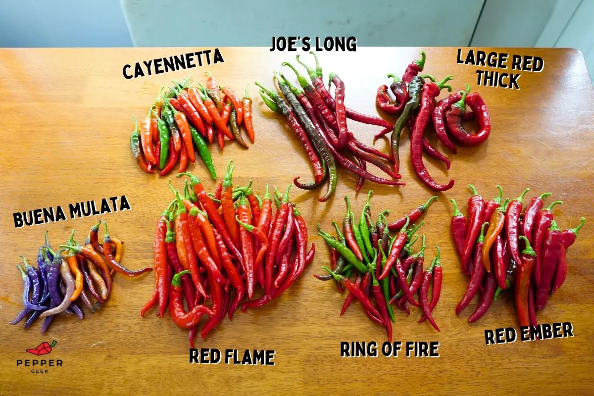 Types of cayenne peppers