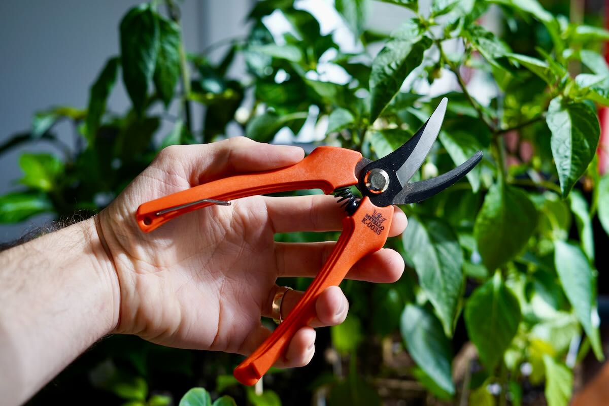 Orange light hand pruners