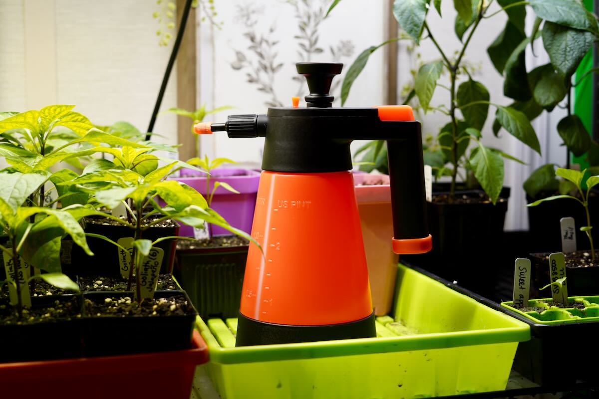 10 Things That Make Growing Peppers So Much Easier