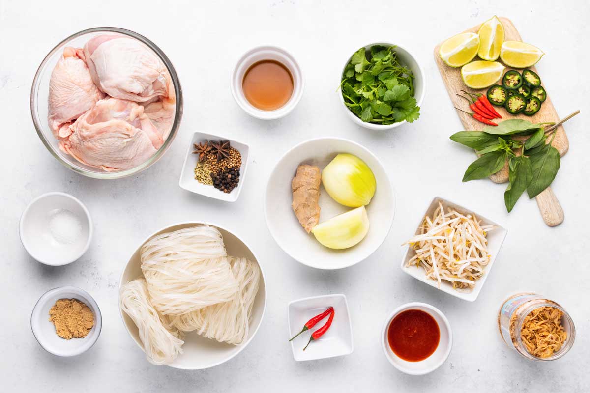 Ingredients for homemade spicy chicken pho