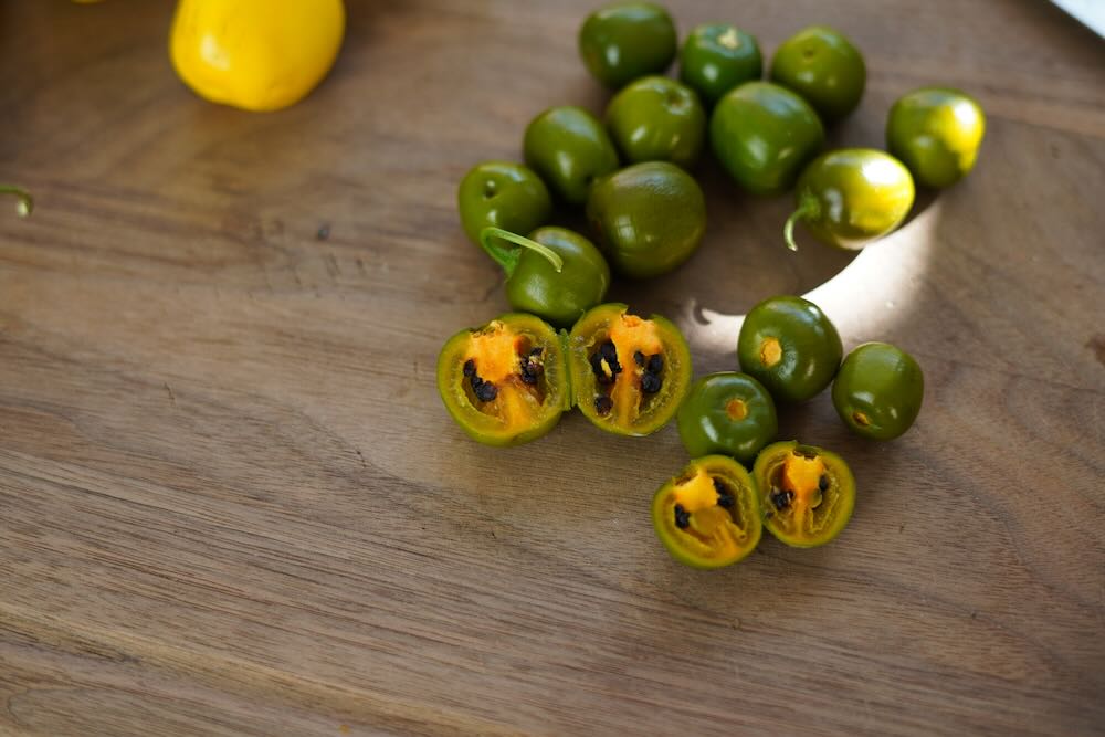 Olive rocoto pepper cross section